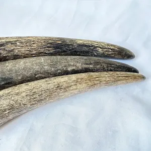 ชุดตกแต่งรูปสัตว์คู่กับสายรัดสำหรับเครื่องประดับเครื่องแต่งกายในราคาขายส่งโดยหัตถกรรมโซนส่งออก - Product Image 4