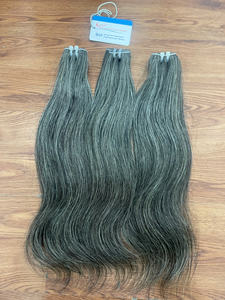 Produits d'extensions de cheveux les plus vendus pour l'hiver, cheveux vierges vietnamiens, cheveux gris pour femmes, qualité supérieure - Product Image 5