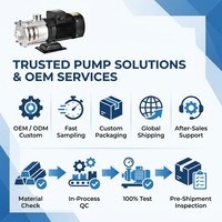 Pompe de surpression d'eau domestique mini CHLF1.5HP avec réservoir sous pression, hauteur de refoulement 53m, 220V / 380V en option