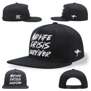 Bán buôn unisex tùy chỉnh thêu logo 6 Bảng điều chỉnh hip hop phẳng vành <span class=keywords><strong>Snapback</strong></span> mũ thể thao - Product Image 1