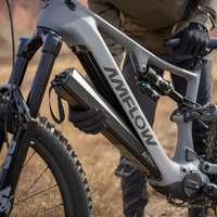 Vélo de montagne électrique Amflow PR Carbon, en fibre de carbone, EMTB 1500W, batterie amovible, système d'entraînement Avinox M2, fabrication en usine