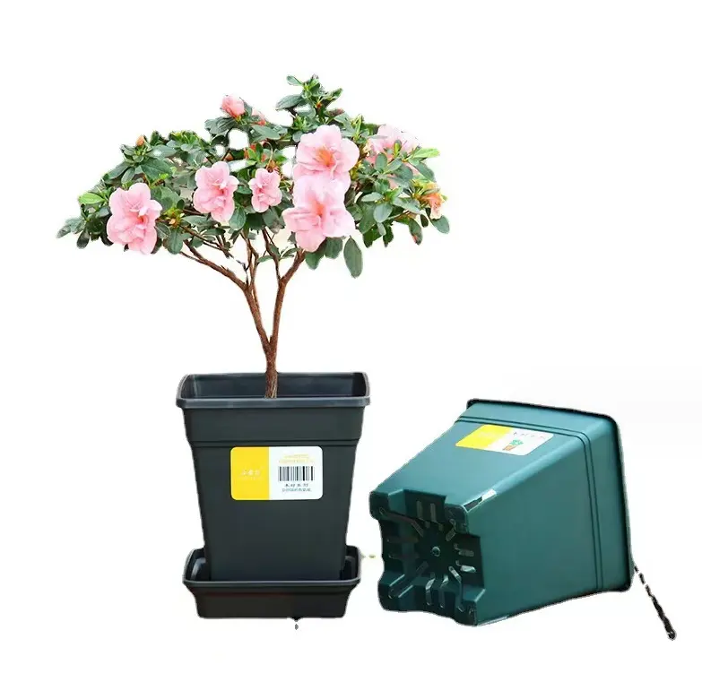 Aoyama pot mawar kontrol akar plastik galon klematis untuk tanaman dalam ruangan pot bunga