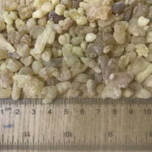 Résine de frankincense café soudan, 1 pièce, plante naturelle avec valeur médicale en oebène, vente en gros - Product Image 1