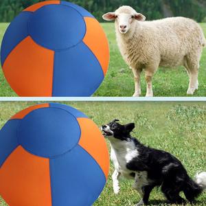 Ballon de dressage pour chiens, résistant et durable, jouet d'agilité résistant aux morsures pour les chiens de type berger <span class=keywords><strong>australien</strong></span>, Border Collie, petites et moyennes races - Product Image 4