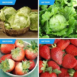 Bestva-lampe de croissance domestique pour culture de légumes, fruits, fleurs, plantes, à <span class=keywords><strong>filament</strong></span>, A60 led, 6W - Product Image 3