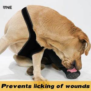 Protège-jambe arrière pour <span class=keywords><strong>chien</strong></span> personnalisable, résistant à l'usure et antidérapant, <span class=keywords><strong>chaussette</strong></span> de <span class=keywords><strong>protection</strong></span> pour patte droite d'animal domestique pour la <span class=keywords><strong>protection</strong></span> des sols intérieurs et le contrôle de la traction - Product Image 6