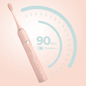 fdaapprovedelectrictoothbrushtravelcase