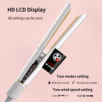 Lisseur de cheveux électrique céramique double usage (humide/sec) Airstream 2-en-1 avec écran LCD, logo personnalisé, sans dommage pour les cheveux, pour la maison, l'hôtel et l'extérieur