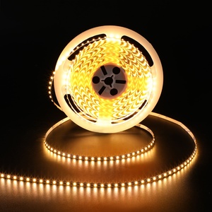 3000K 3500K 4000K 6500K <b>Smd</b> 2835 120LED/meter Flexible 12V 24V <b>Led</b> Strip Light for Landscape Hotel Light - Product Image 1
