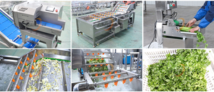 Offerta Speciale: Linea Completa per il Taglio e il Lavaggio di Verdure: Tritatutto per Spinaci, Macchina per Lavare Lattuga, Pulitore per Patate Dolci - Product Image 6