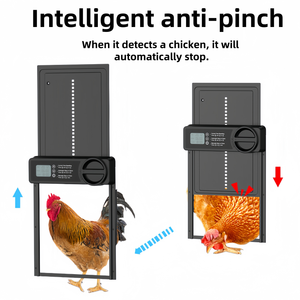 Puerta de gallinero automática de aleación de <span class=keywords><strong>aluminio</strong></span> inteligente Puerta de pollo automática de <span class=keywords><strong>aluminio</strong></span> - Product Image 3