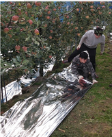 Film PET métallisé mat translucide réfléchissant, résistant à l'humidité, pour capteur solaire et paillis plastique pour fraises