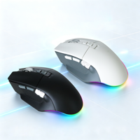 Ratón Inalámbrico Profesional para Juegos, Tri-Modo, Recargable, Retroiluminación RGB, 4800 DPI, Interfaz USB/Tipo-C, 7 Botones, para Computadora/PC