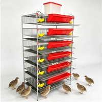 Cage à cailles multi-niveaux en plastique durable avec plateau de collecte des déchets écologique et alimentation automatique