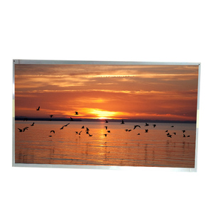 T195XVN01.0 Pantalla LCD TFT de 19.5 Pulgadas 1366*768 Nueva y Económica, Módulo LCD - Product Image 1
