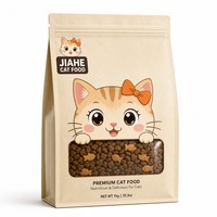 JIAHE 2026 Meilleure vente Sachet personnalisé pour aliments pour chats en PET, VMPET, PE, imprimé en héliogravure, à fond plat, avec fenêtre transparente et soufflet latéral, vente en gros