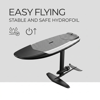 DDP DutyFree IP68 Efoil Hydrofoil Sports nautiques 8000W 45KMH Planche à foil grise mate Télécommande sans fil Planche de surf