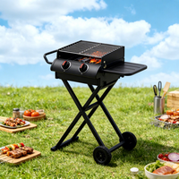Barbecue pliant en acier inoxydable avec chariot, cuisinière à charbon de bois mobile pour plus de 5 personnes, camping en plein air, pique-nique