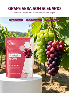 Agent Microbien Multi-cultures <span class=keywords><strong>pour</strong></span> Vigne, Agrumes, Pomelo, Cerise – <span class=keywords><strong>Engrais</strong></span> Biologique <span class=keywords><strong>Naturel</strong></span> <span class=keywords><strong>pour</strong></span> la Transformation des Couleurs et l'Amélioration du Sucre - Product Image 3
