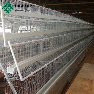 4 Tier Type 128/160 Egg Laying Chicken Layer <strong>Cage</strong> Design for 128/160 Birds Hens New Condition <strong>Cheap</strong> <strong>Price</strong> - Product Image 6