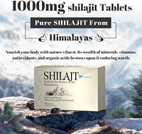 Comprimés de Shilajit Pur Naturel de l'Himalaya OEM, Riches en Acide Fulvique et Oligo-éléments, Boîte de 60 Comprimés en Vrac, Supplément Minéral en Boîte en Carton