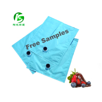 Sac en plastique d'emballage aseptique de barrière standard 220L dans la boîte pour les sacs aseptiques de pâte de tomate
