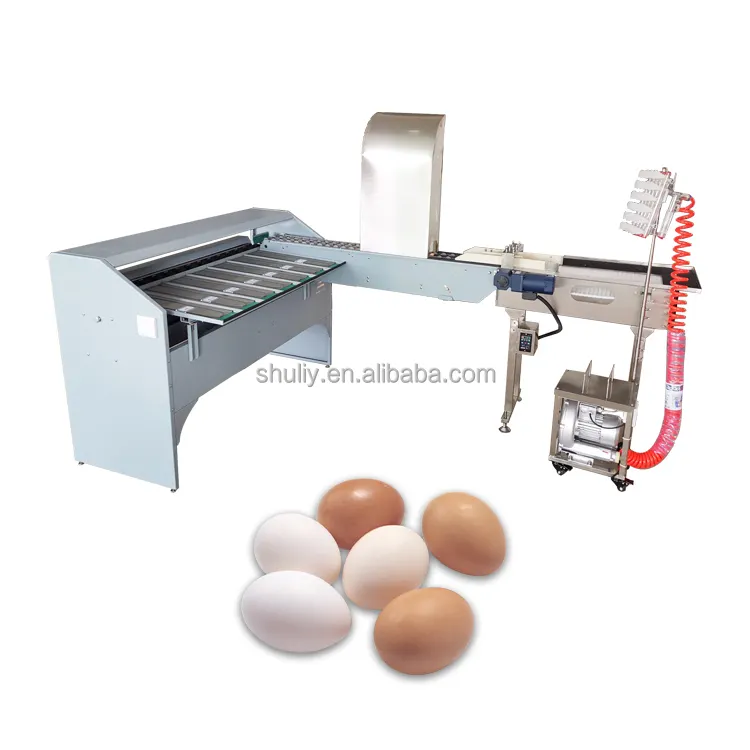 Machine de triage et d'emballage des œufs, supérieure, électrique, niveleur, poids des œufs de poulet
