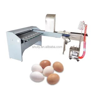 Electric Egg Sorting Grading And Packing Machine Egg Weight Grader Machine For Chicken Eggs
