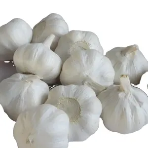 2024 fresh China garlic normal /pure white garlic for export