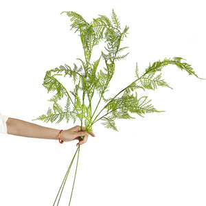 Feuillage artificiel en plastique souple au toucher réel, type fougère et <span class=keywords><strong>asperge</strong></span>, pour la décoration florale d'hôtels et de mariages - Product Image 5