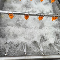 Automatische belletjeswasmachine voor groenten, fruit, vis, vlees en voedselverwerkingsfabrieken