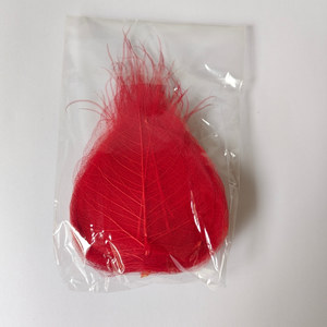 Daun Linden kering dengan pembuluh bunga dan daun untuk bookmark atau kerajinan tangan 100 buah per tas untuk dekorasi rumah atau pernikahan - Product Image 6