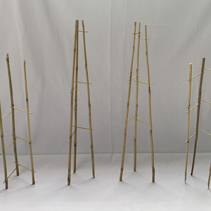 Bamboo Pole/Bamboo Stake for Gardening