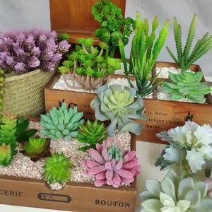 Plantas Suculentas Artificiales de Plástico en Miniatura, Accesorios para Arreglos Florales, Flores Decorativas al por Mayor, Plantas Decorativas - Product Image 3