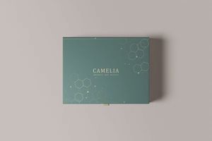 Wholesale Custom Luxury Sweet Wedding Favor Gift <b>Candy</b> Packaging Gift <b>Box</b> With Ribbon support custom your logo - Product Image 1