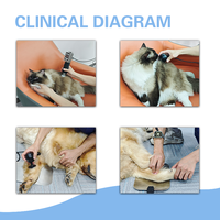 Máquina de Terapia Física Veterinaria Skalet Tecar RF, Equipo Multifuncional de Fisioterapia para Alivio del Dolor en Animales, Terapia Profunda para el Hogar