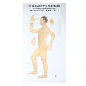Chinese Medical Acupuncture Charts Points Human Body Acupoint Meridian Map