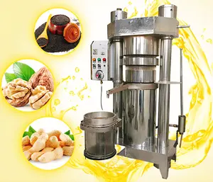 DZJX Black Seed Coconut Palm Kernel Sunflower Cold Pressed Avocado Oil Machine Hydraulic Oil Press For Small Business