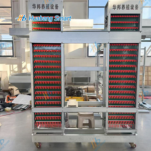 H loại lớp gà lồng cho các giải pháp sản xuất trứng hiệu quả - Product Image 3