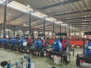 Pompes auto-amorçantes de référence pour l'industrie minière, durables et efficaces pour le transfert d'eaux usées et de boue - Product Image 2