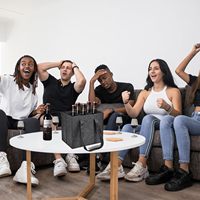 Sac de transport pour 6 bouteilles de vin, pliable, réutilisable, antichoc, en feutre, avec double poignée, vente en gros