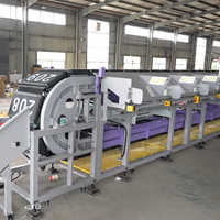 Machine de tri à courroies croisées Truelisort, robuste, tri multidirectionnel pour la manutention et le tri de colis à fort volume