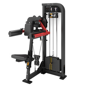 Venta de Fábrica: Máquina de Elevación Lateral con Tecnología Comercial de Fitness para Esculpir Músculos, Desarrollador Profesional de Deltoides para Instalaciones Premium - Product Image 1