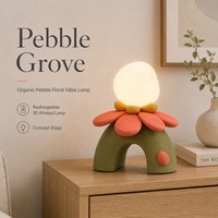 Lampe de table AC rechargeable personnalisée en PLA écologique imprimée en 3D avec options de couleur, LED économes en énergie pour projets cadeaux OEM/ODM