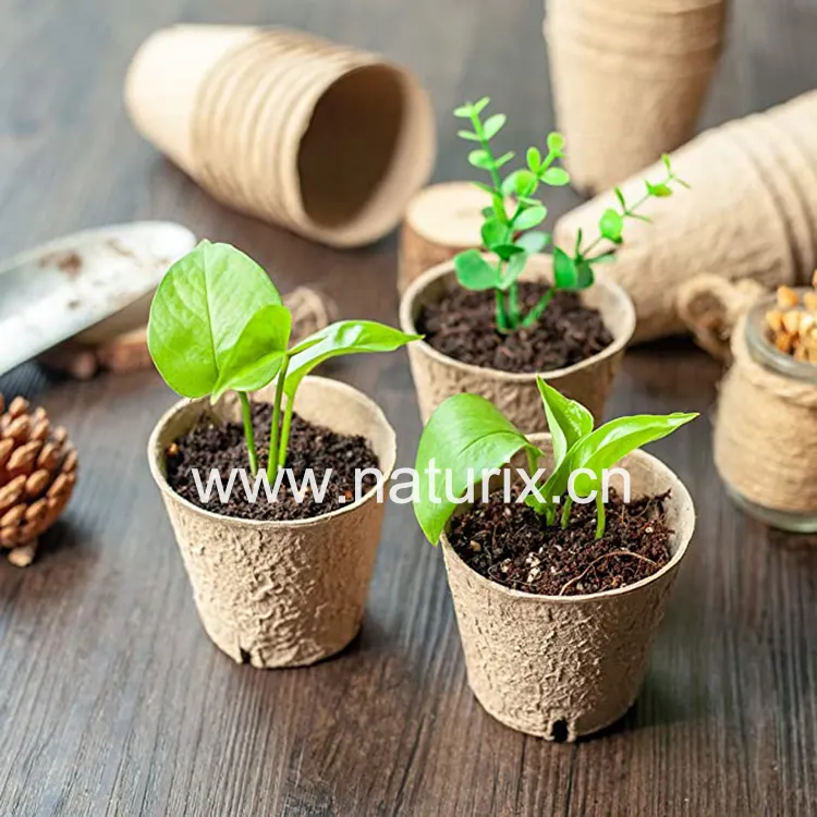 Jeu de Pots ronds en papier Kraft biologique, 8 Cm, Design personnalisé, ensemble pour plantes à fleurs écologiques, Pots biodégradables pour jardin