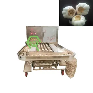 Commercial Garlic root and stem cutting machine Removing Fresh Garlic Root Cutter