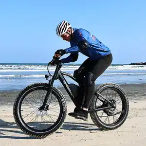 3000w 2000w 1000w 전기 자전거 800w 뚱뚱한 타이어 ebike 자전거 바닷가 유람선 e 자전거 모든 지형 offroad ebike 자전거