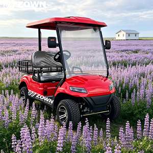 Nuevo Carro de Golf Eléctrico de 2 Plazas 2026, Buggy de Golf Eléctrico de 2 Asientos con Certificación CE - Product Image 1