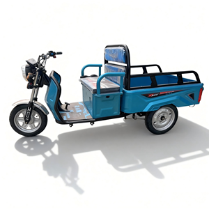2026 Super Climbing 60V Tricycle for Adults Open Body Rickshaw Flat Space 200-300kg Payload 50-70km <b>Range</b> - Product Image 1