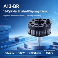 Pompe à diaphragme compacte à haut débit personnalisée / Gonfleur haute pression (13 cylindres, double fonction de gonflage et de dégonflage).